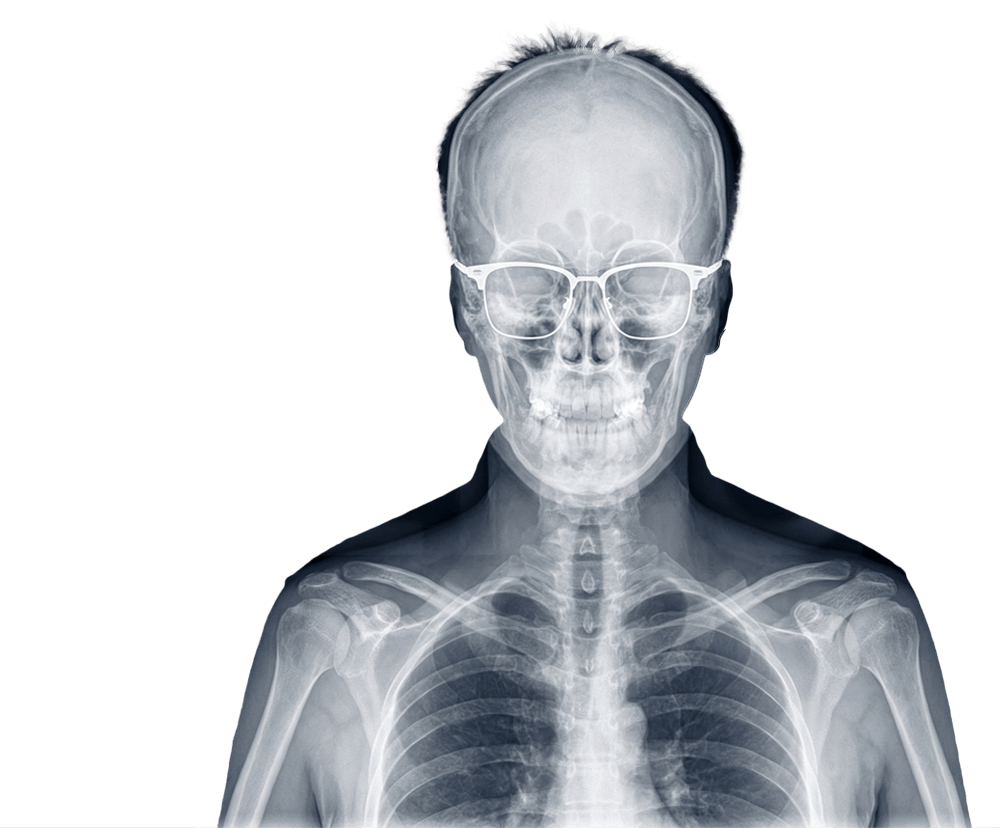 Portrait Reveal Base Light